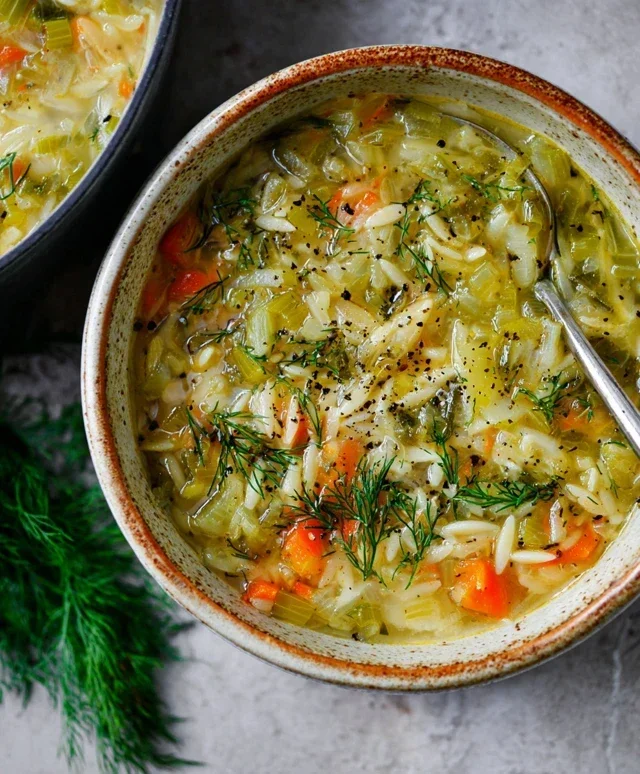 Orzo Leek and Dill Soup